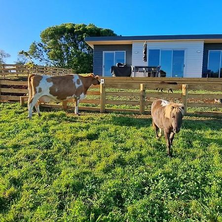 Country Comfort - Only 10 Minutes From Hamilton Cbd Extérieur photo