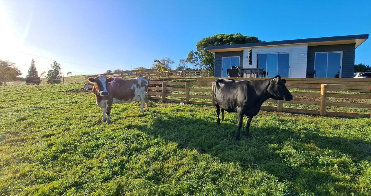 Country Comfort - Only 10 Minutes From Hamilton Cbd Extérieur photo