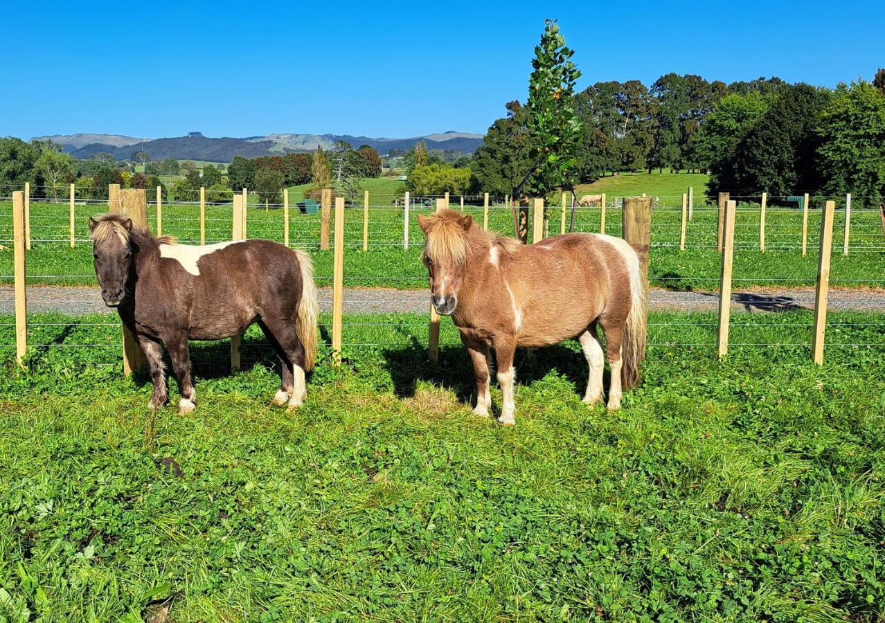 Country Comfort - Only 10 Minutes From Hamilton Cbd Extérieur photo