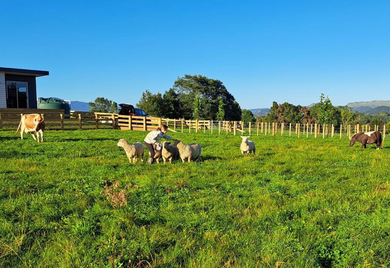 Country Comfort - Only 10 Minutes From Hamilton Cbd Extérieur photo