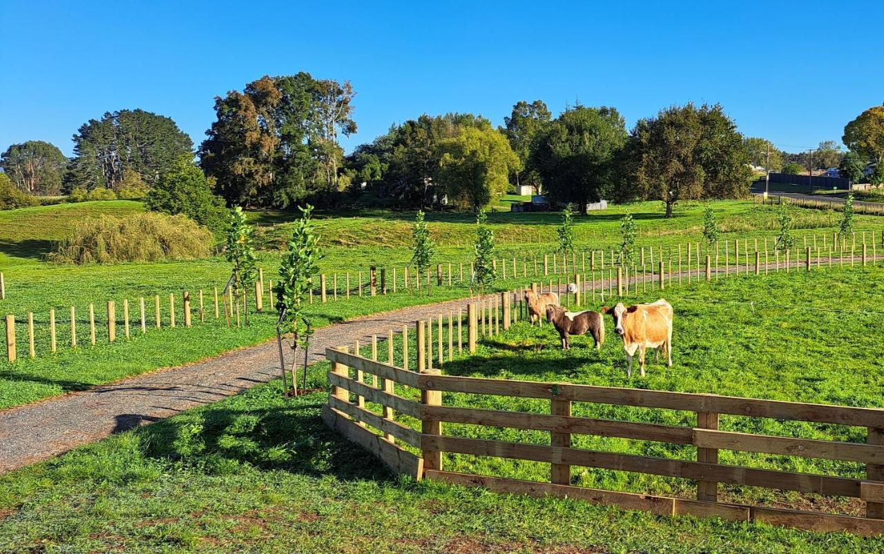 Country Comfort - Only 10 Minutes From Hamilton Cbd Extérieur photo